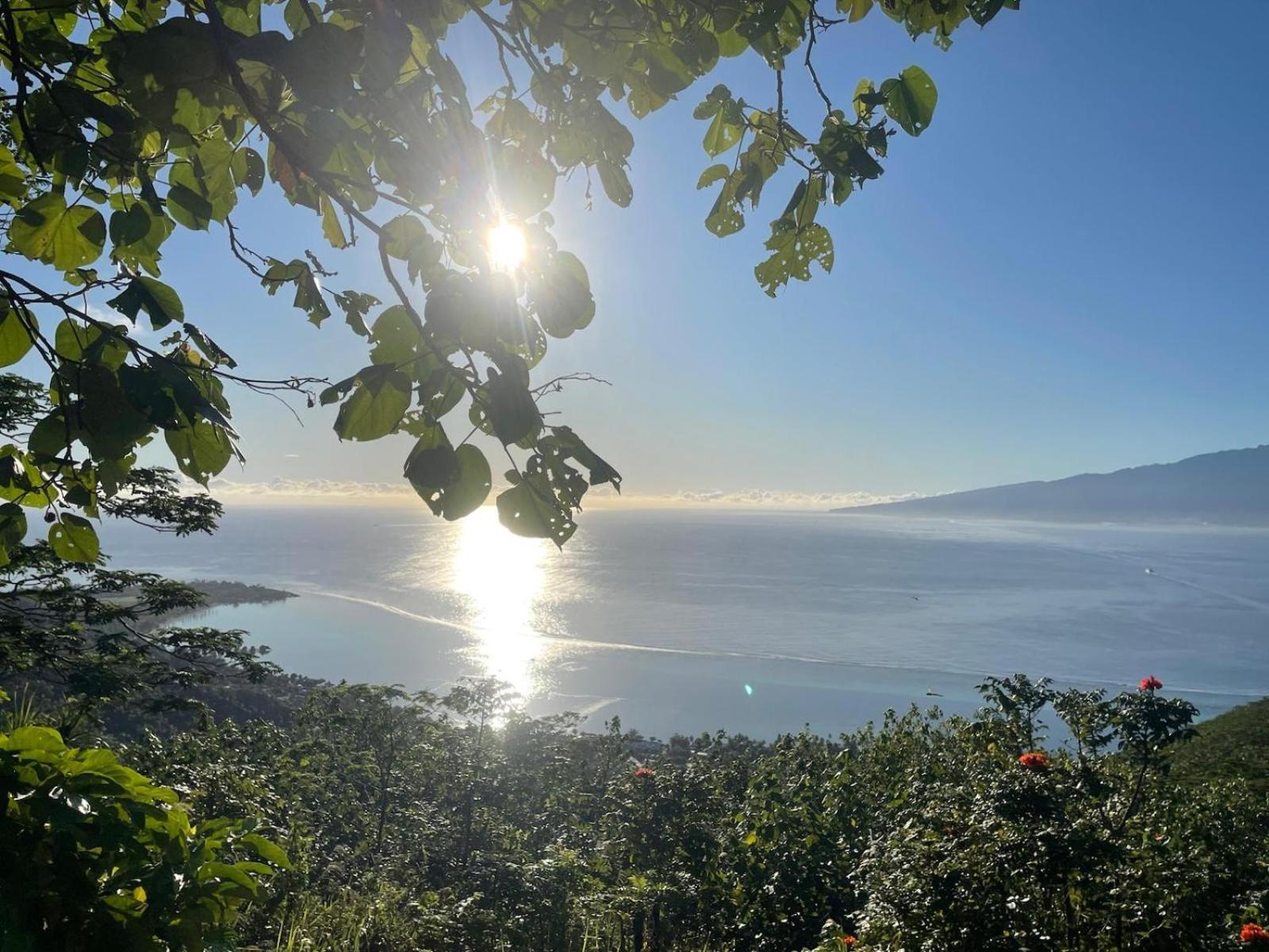 Haere Mai I Te Fare Teavaro Exterior foto